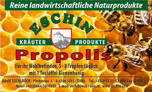 22 A  Propolis - Tropfen 20 ml